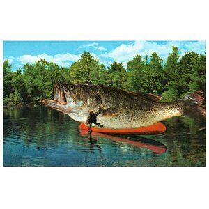 Postcard 1962 "The Big One Got Away" fishing canoe Chrome era